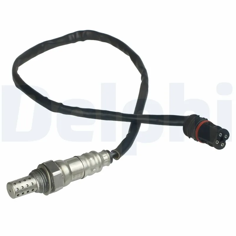 ES2034612B1 Delphi