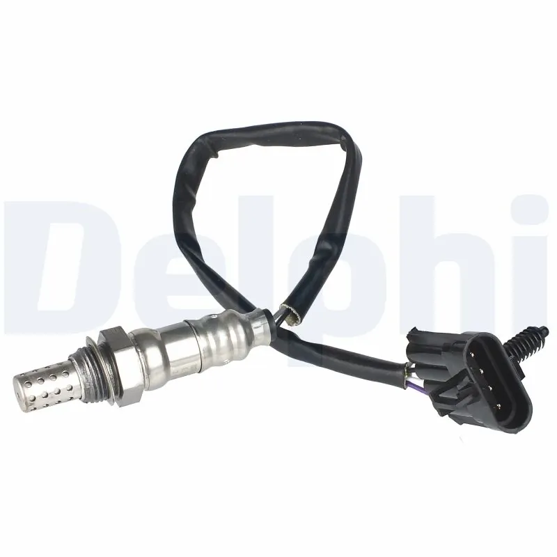 ES2029912B1 Delphi