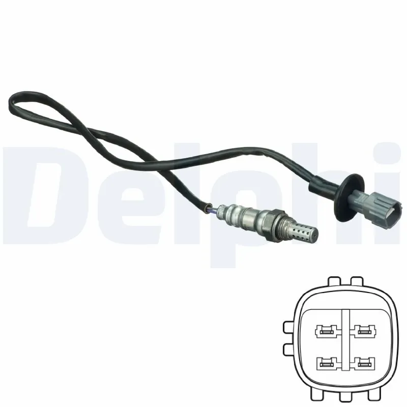 ES2022412B1 Delphi