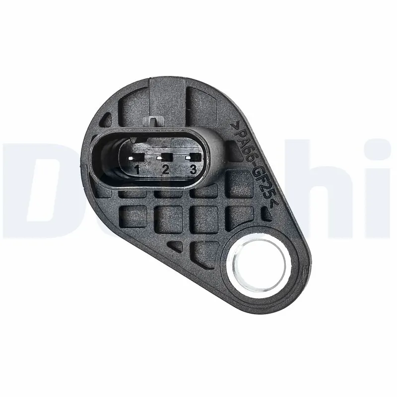 SS1237212B1 Delphi