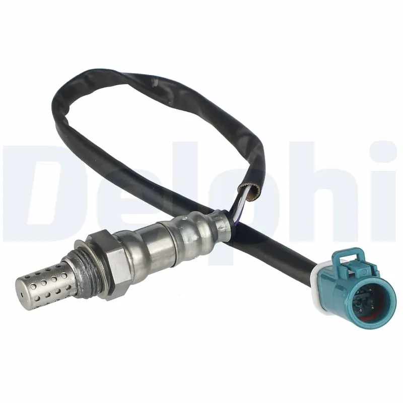 ES2034912B1 Delphi