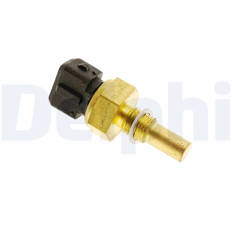 TS10466 Delphi