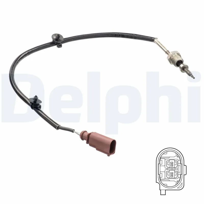 TS30267 Delphi