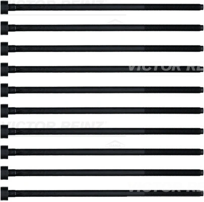 143222001 Victor Reinz