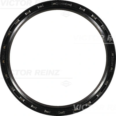 812311330 Victor Reinz