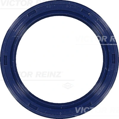 815326900 Victor Reinz