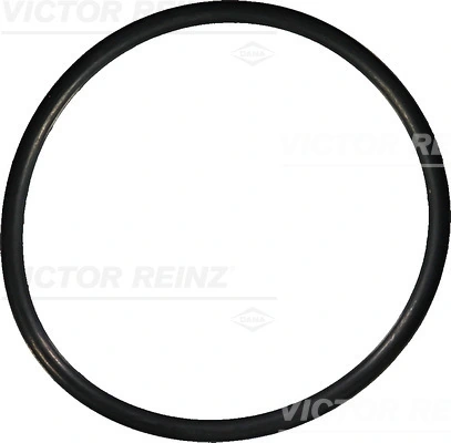 407614900 Victor Reinz