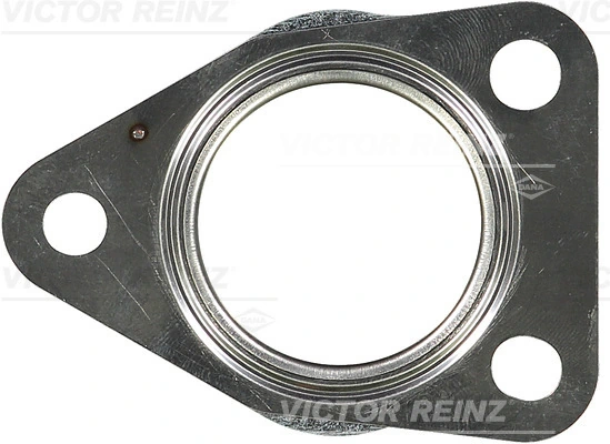 714207200 Victor Reinz