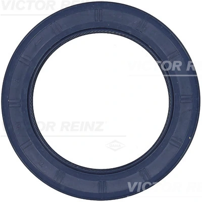 815331300 Victor Reinz