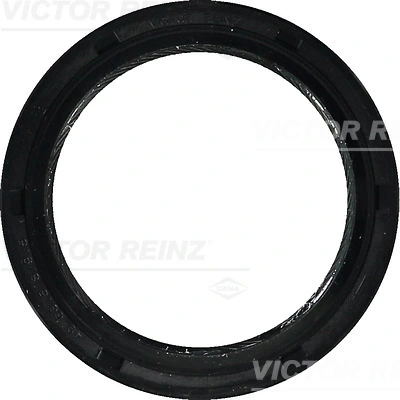 813551900 Victor Reinz