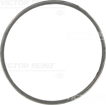 713963900 Victor Reinz