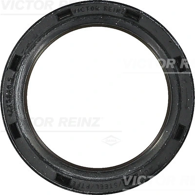 813852900 Victor Reinz