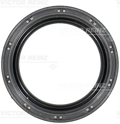 811045800 Victor Reinz