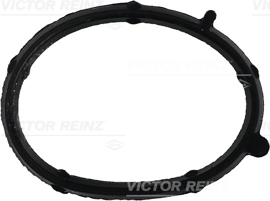 713568100 Victor Reinz