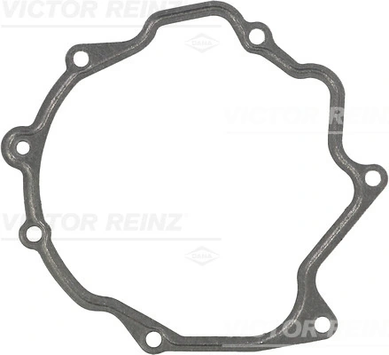 713179300 Victor Reinz