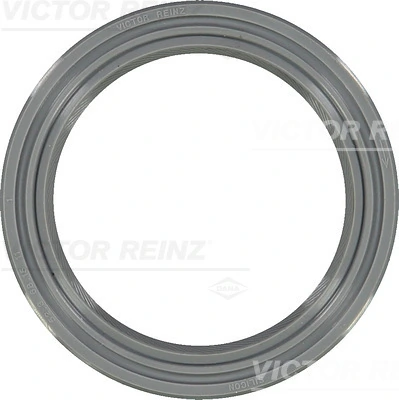 812558710 Victor Reinz