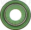 701069500 Victor Reinz