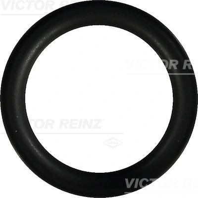 407624600 Victor Reinz