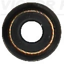 701793000 Victor Reinz