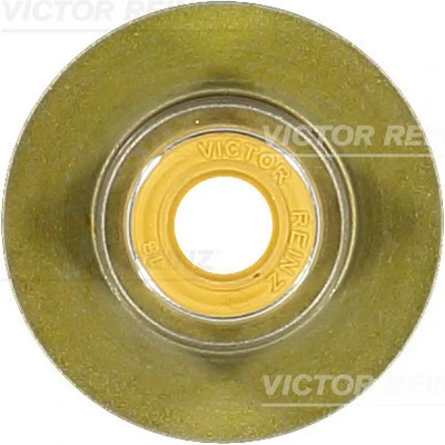 704033600 Victor Reinz