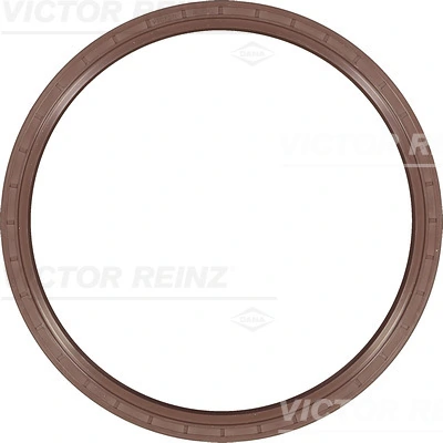 813520600 Victor Reinz
