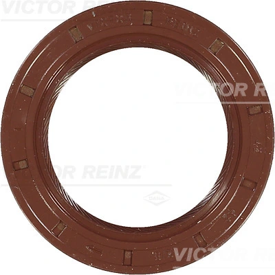 811600410 Victor Reinz