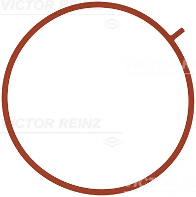 711075600 Victor Reinz