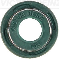 705399100 Victor Reinz