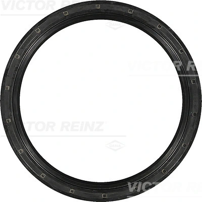 813509400 Victor Reinz