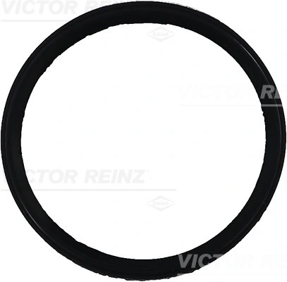 713524900 Victor Reinz