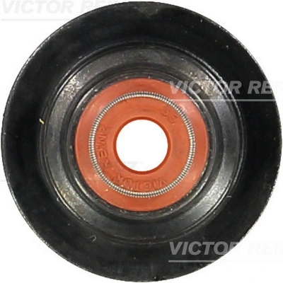 703344700 Victor Reinz