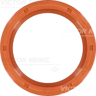 811009900 Victor Reinz