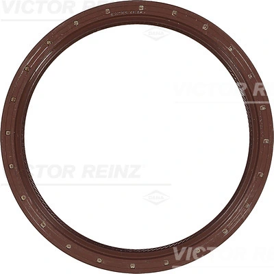 811011710 Victor Reinz