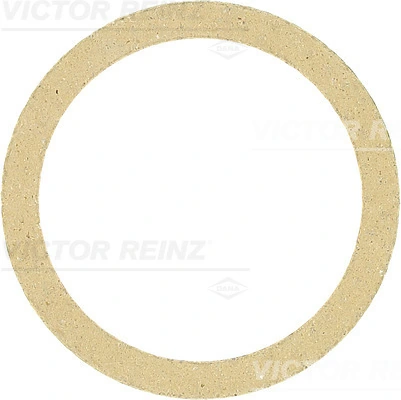 713424400 Victor Reinz