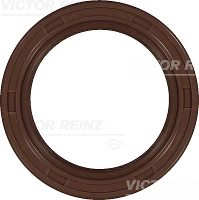 813387100 Victor Reinz