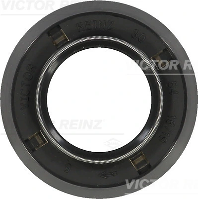 813598900 Victor Reinz