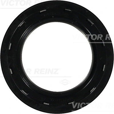 813853300 Victor Reinz
