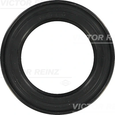 812134300 Victor Reinz