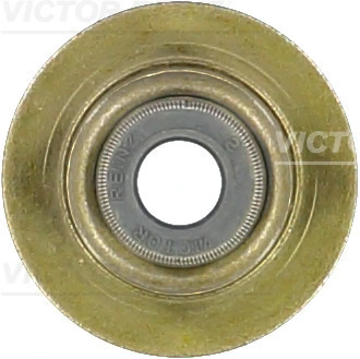 703854600 Victor Reinz