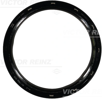811043400 Victor Reinz
