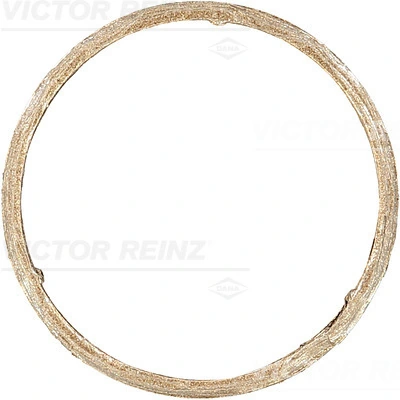 711139900 Victor Reinz