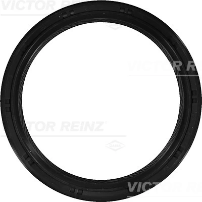 815329100 Victor Reinz