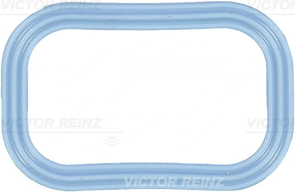 713553900 Victor Reinz