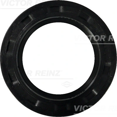 812100120 Victor Reinz