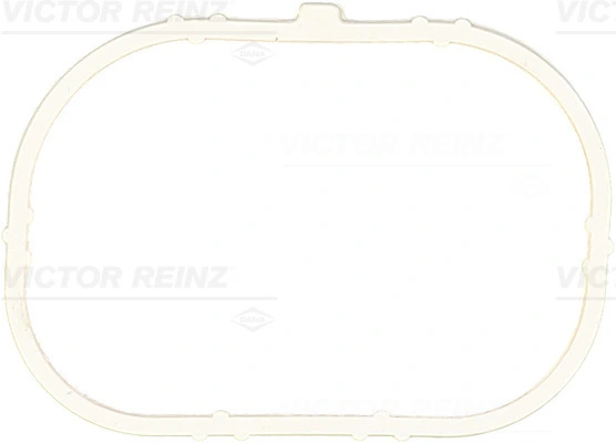 713791300 Victor Reinz