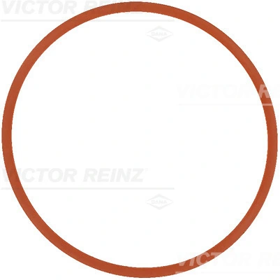 711737000 Victor Reinz