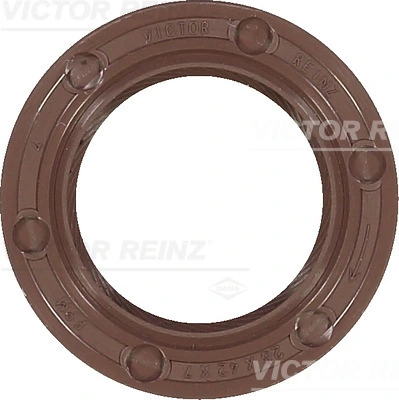 813365300 Victor Reinz