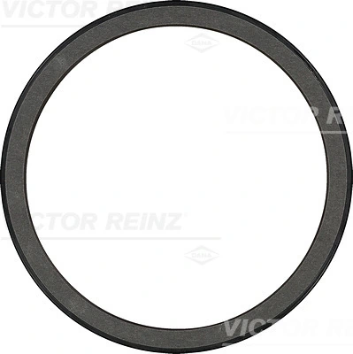 813520610 Victor Reinz
