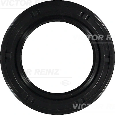 815322700 Victor Reinz