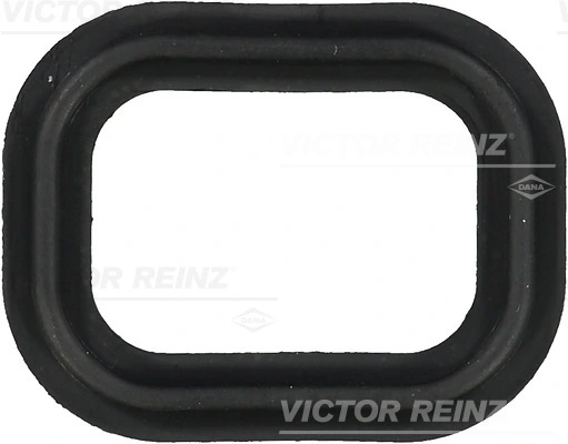713565100 Victor Reinz